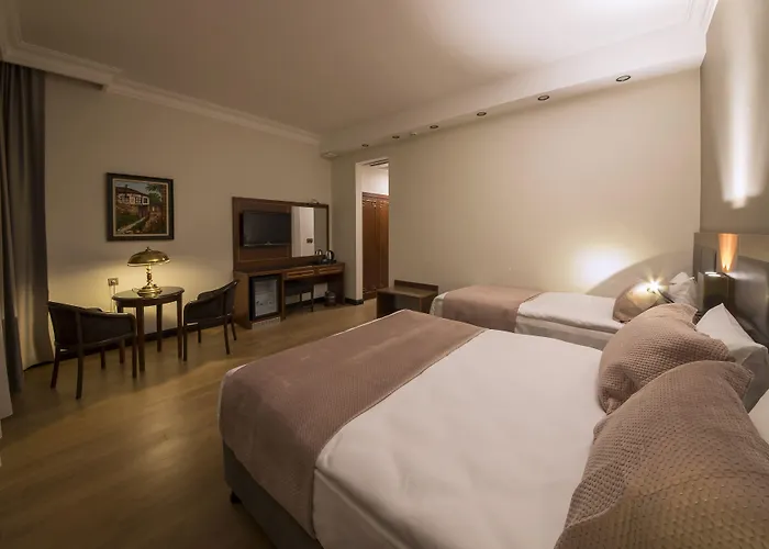 호텔 바르다르 팰리스 - 스페셜 카테고리